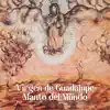 Cristina Rubalcava - Virgen de Guadalupe, Manto del Mundo (feat. Maria Elena Leal Beltrán) - Single